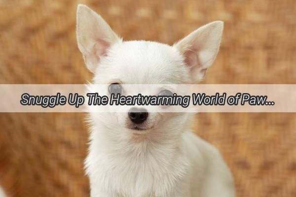 Snuggle Up The Heartwarming World of Pawsitting Dogs